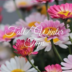 Section: Fall/ Winter Tops